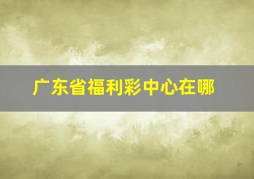 广东省福利彩中心在哪