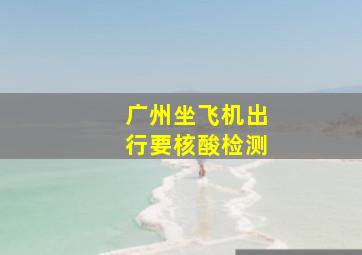 广州坐飞机出行要核酸检测