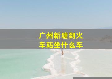 广州新塘到火车站坐什么车