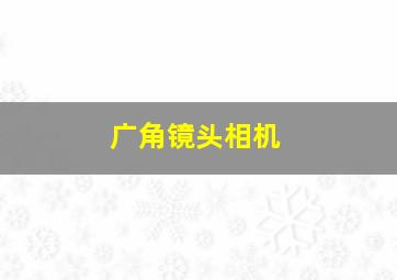 广角镜头相机