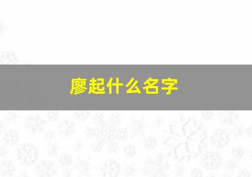 廖起什么名字