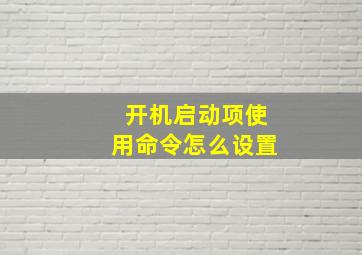 开机启动项使用命令怎么设置