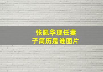 张佩华现任妻子简历是谁图片