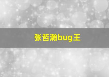 张哲瀚bug王