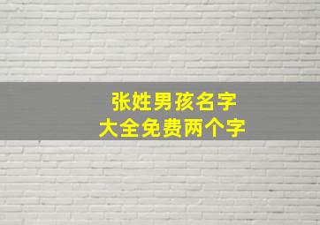 张姓男孩名字大全免费两个字