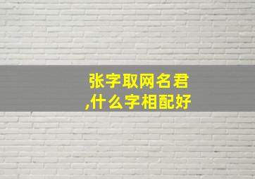 张字取网名君,什么字相配好