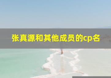 张真源和其他成员的cp名