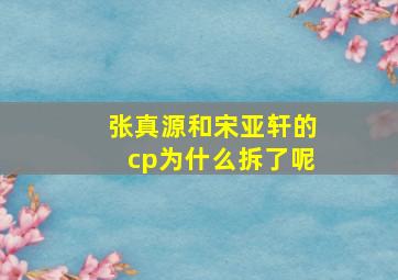 张真源和宋亚轩的cp为什么拆了呢