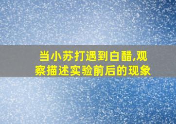 当小苏打遇到白醋,观察描述实验前后的现象