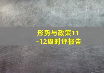 形势与政策11-12周时评报告