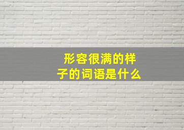 形容很满的样子的词语是什么