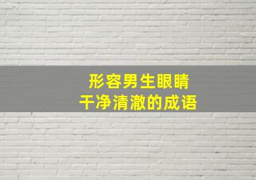 形容男生眼睛干净清澈的成语