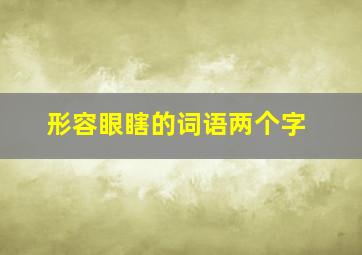 形容眼瞎的词语两个字