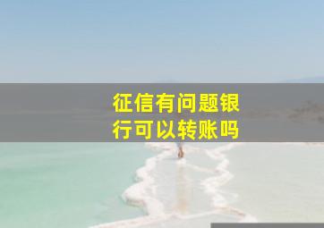 征信有问题银行可以转账吗