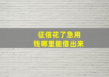 征信花了急用钱哪里能借出来