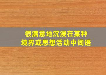 很满意地沉浸在某种境界或思想活动中词语