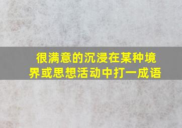 很满意的沉浸在某种境界或思想活动中打一成语