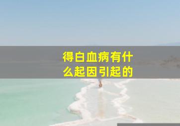 得白血病有什么起因引起的