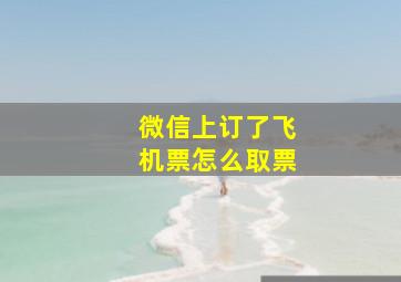 微信上订了飞机票怎么取票