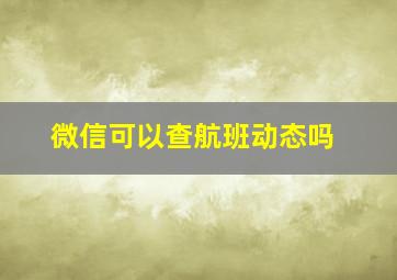 微信可以查航班动态吗