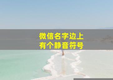 微信名字边上有个静音符号