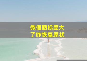 微信图标变大了咋恢复原状