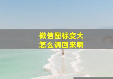 微信图标变大怎么调回来啊