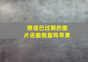 微信已过期的图片还能恢复吗苹果