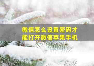 微信怎么设置密码才能打开微信苹果手机