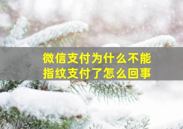 微信支付为什么不能指纹支付了怎么回事