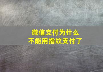 微信支付为什么不能用指纹支付了