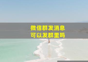 微信群发消息可以发群里吗