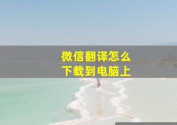 微信翻译怎么下载到电脑上