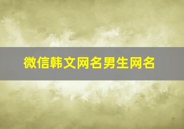 微信韩文网名男生网名