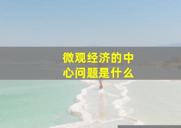 微观经济的中心问题是什么