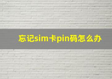 忘记sim卡pin码怎么办