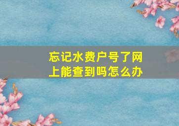 忘记水费户号了网上能查到吗怎么办