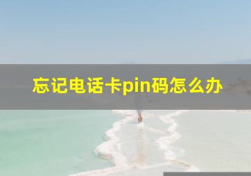 忘记电话卡pin码怎么办