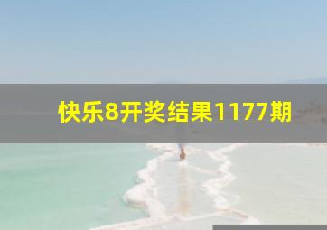 快乐8开奖结果1177期