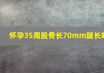 怀孕35周股骨长70mm腿长吗