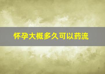 怀孕大概多久可以药流