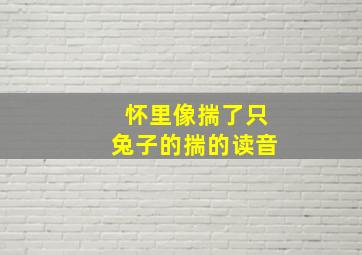 怀里像揣了只兔子的揣的读音