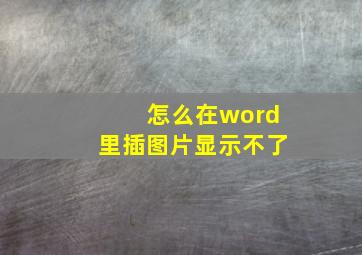 怎么在word里插图片显示不了