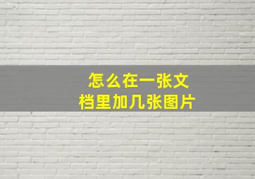 怎么在一张文档里加几张图片