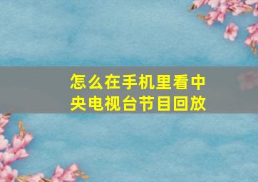 怎么在手机里看中央电视台节目回放