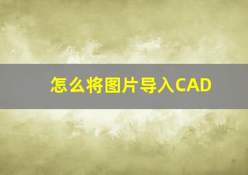 怎么将图片导入CAD