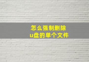 怎么强制删除u盘的单个文件