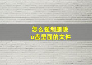 怎么强制删除u盘里面的文件