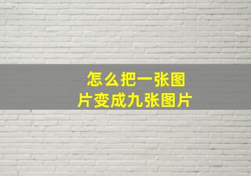 怎么把一张图片变成九张图片