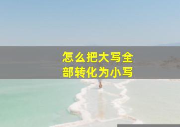 怎么把大写全部转化为小写